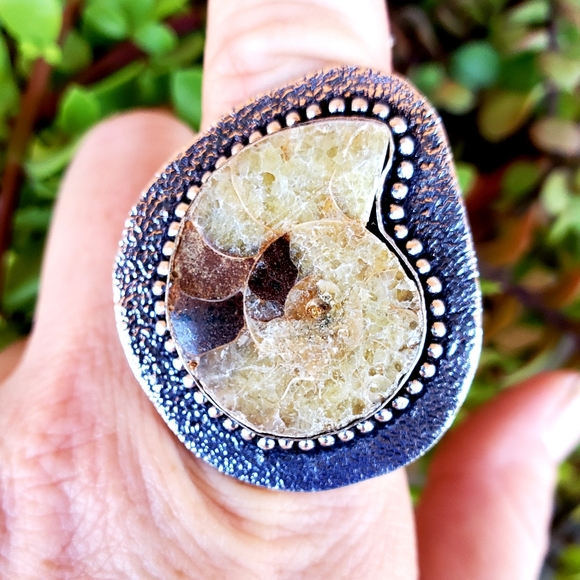 New Unique Oversized Ammonite 925 Silver Ring. - Picture 4 of 13